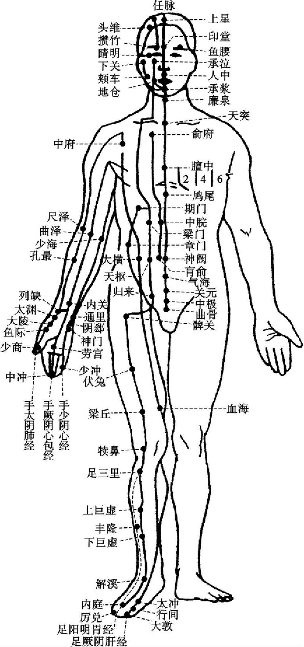 > > 产品应  人体的穴位大体可分3类:第一类是上面提到的十四经络穴位