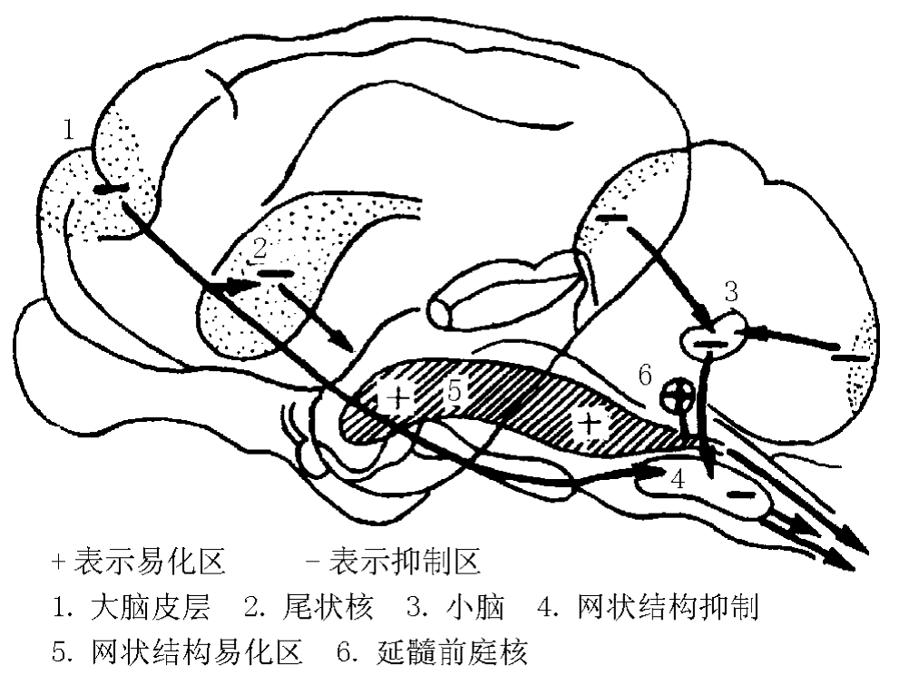 img135
