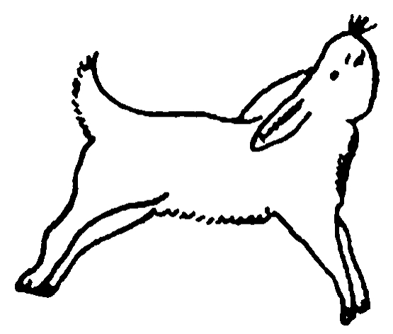 img167
