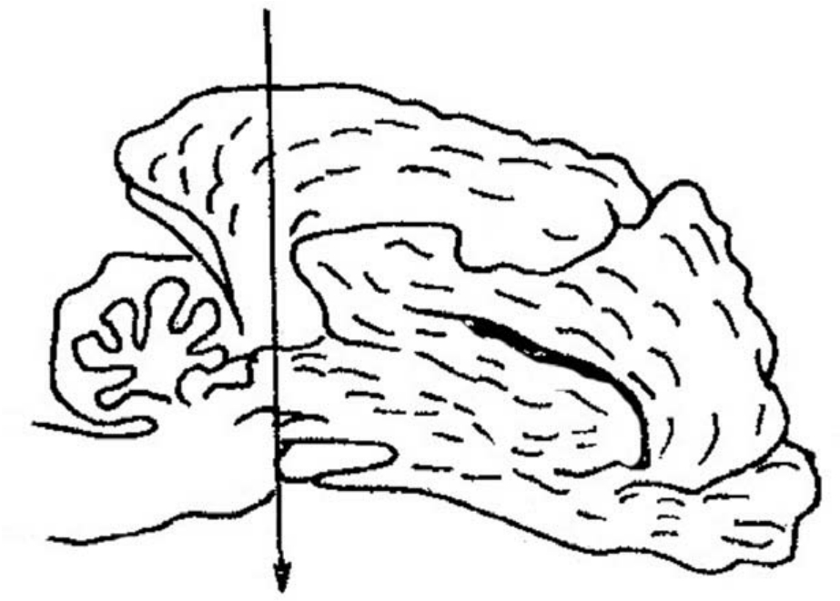 img166