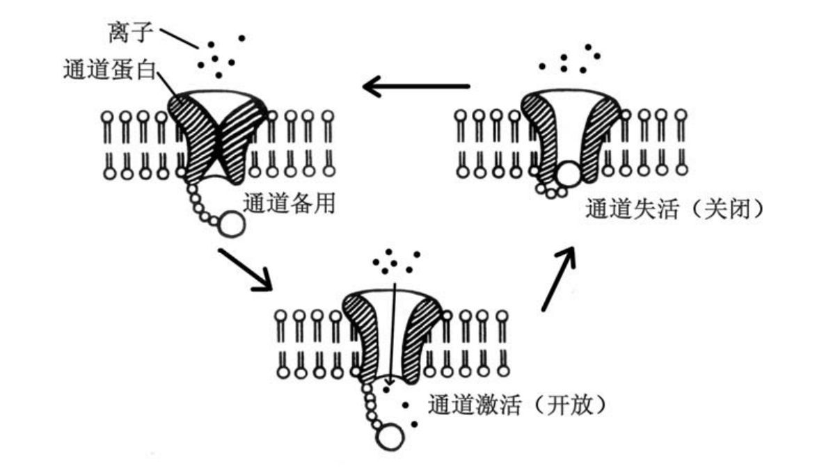 img12