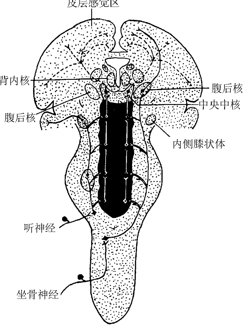 img130