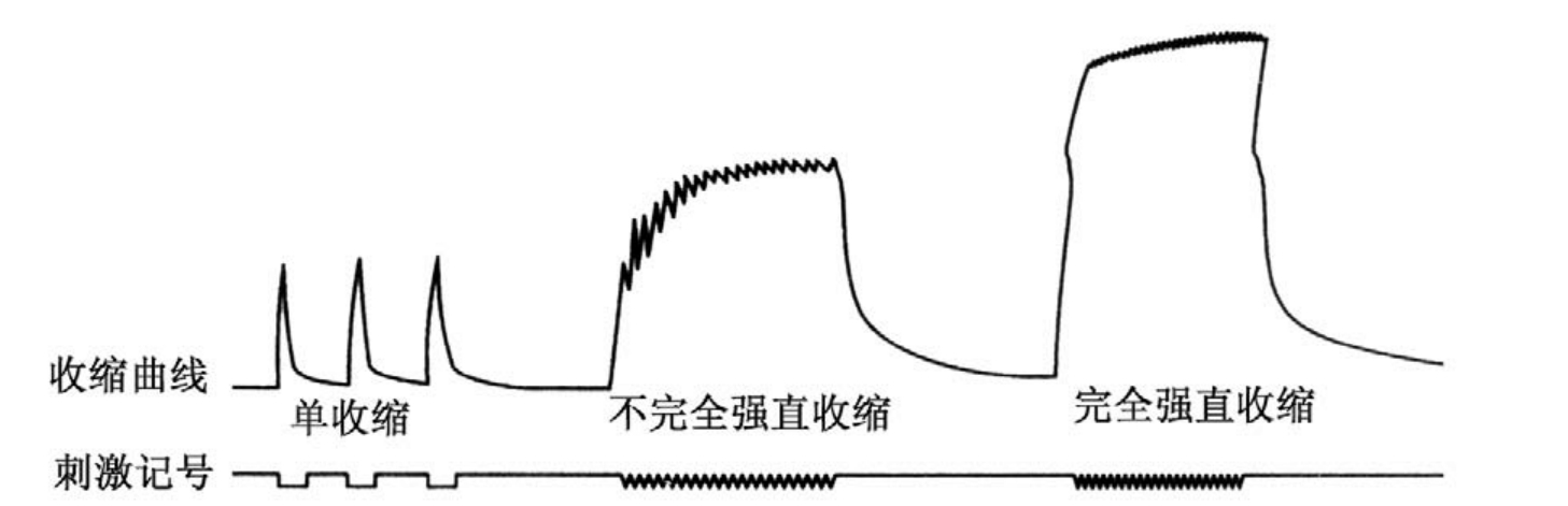 img25