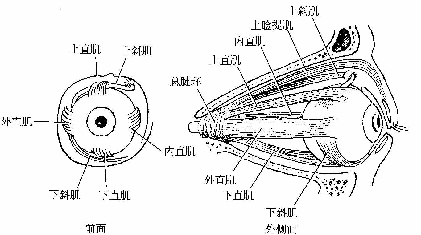 img250