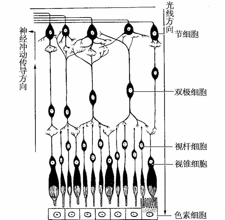 img247