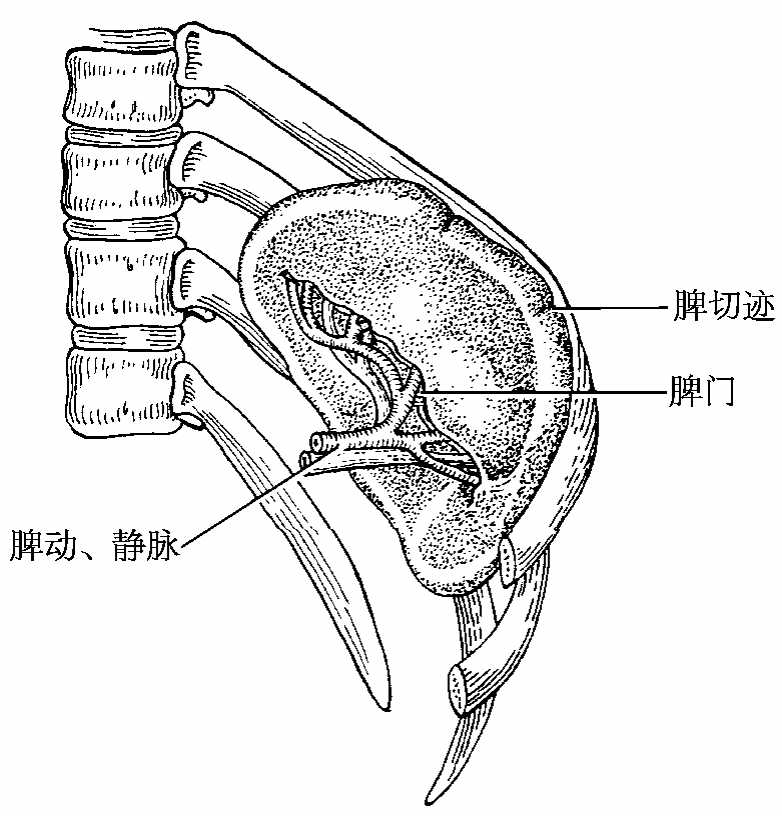 img234