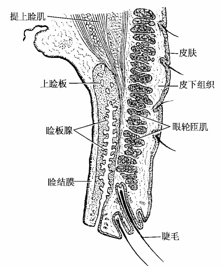 img248