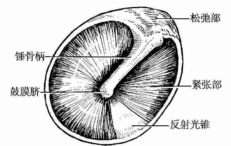 img255