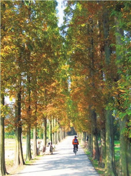 pagenumber_ebook=135,pagenumber_book=125