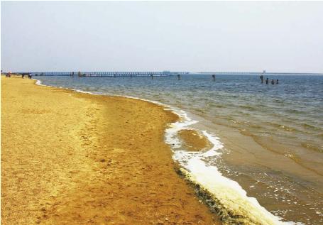 pagenumber_ebook=109,pagenumber_book=99