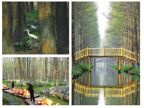 pagenumber_ebook=77,pagenumber_book=67