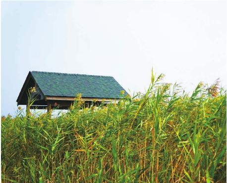 pagenumber_ebook=146,pagenumber_book=136