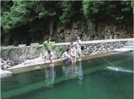 pagenumber_ebook=84,pagenumber_book=74