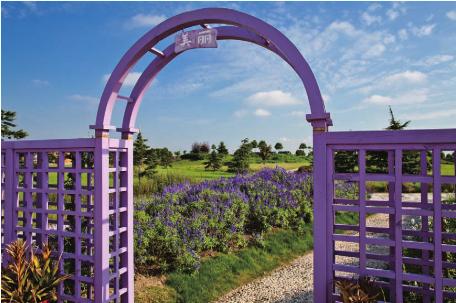 pagenumber_ebook=100,pagenumber_book=90