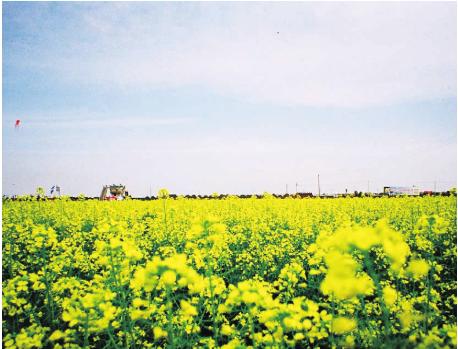 pagenumber_ebook=22,pagenumber_book=12