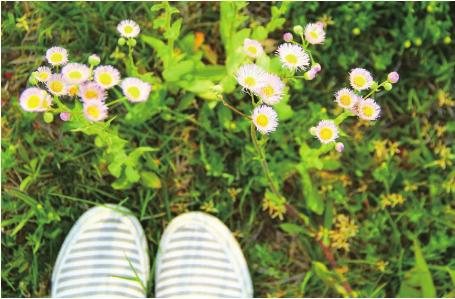 pagenumber_ebook=19,pagenumber_book=9