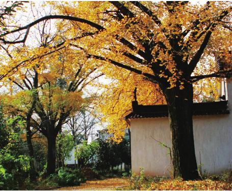 pagenumber_ebook=128,pagenumber_book=118