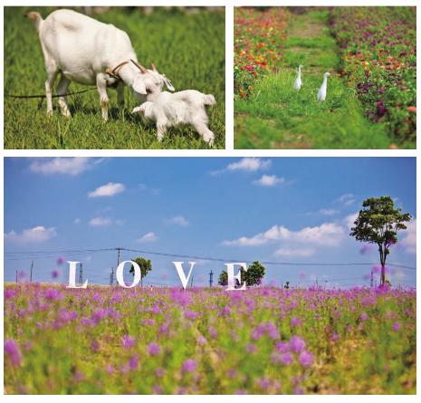 pagenumber_ebook=102,pagenumber_book=92