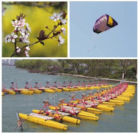 pagenumber_ebook=39,pagenumber_book=29