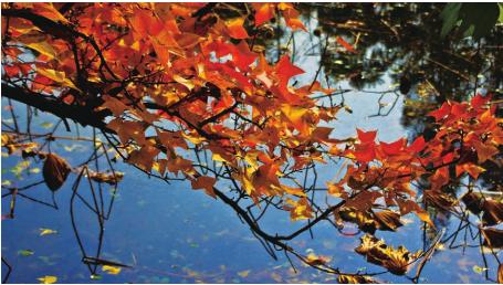 pagenumber_ebook=140,pagenumber_book=130