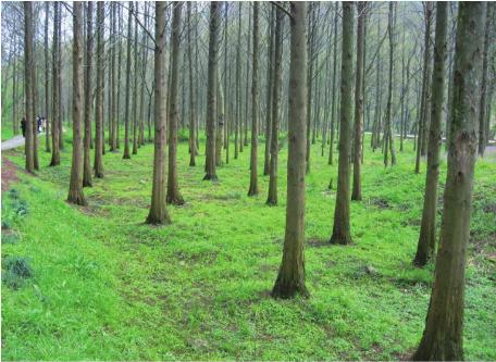 pagenumber_ebook=64,pagenumber_book=54