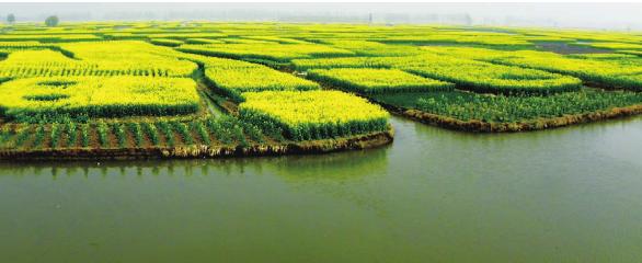 pagenumber_ebook=77,pagenumber_book=67