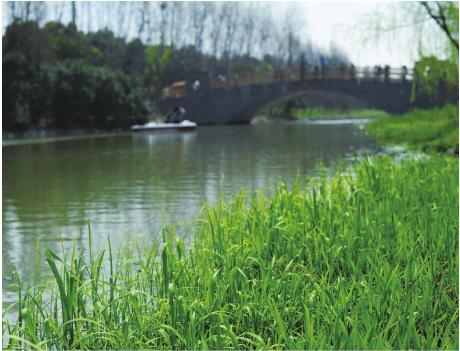 pagenumber_ebook=26,pagenumber_book=16