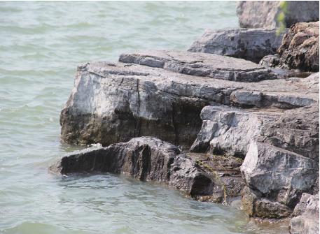 pagenumber_ebook=40,pagenumber_book=30