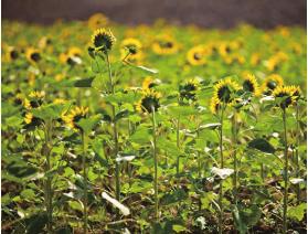 pagenumber_ebook=103,pagenumber_book=93