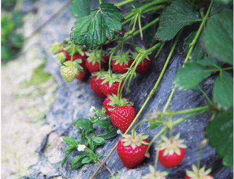 pagenumber_ebook=46,pagenumber_book=36