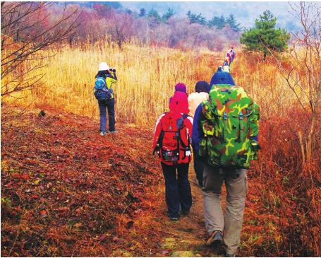 pagenumber_ebook=151,pagenumber_book=141