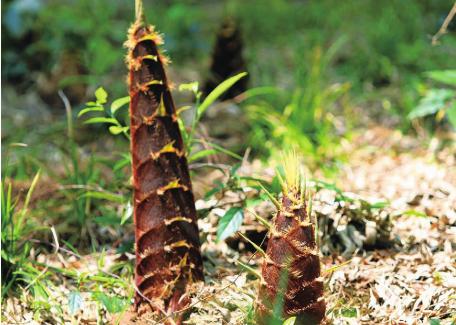 pagenumber_ebook=122,pagenumber_book=112