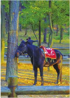 pagenumber_ebook=141,pagenumber_book=131