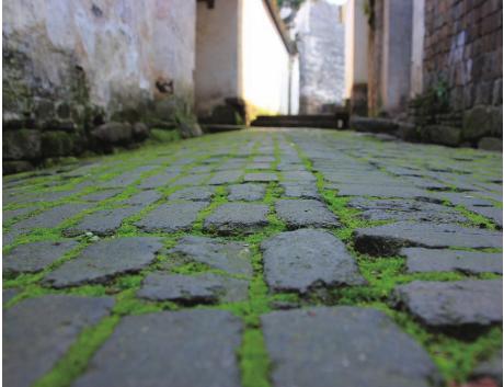 pagenumber_ebook=54,pagenumber_book=44