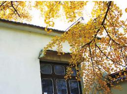 pagenumber_ebook=130,pagenumber_book=120