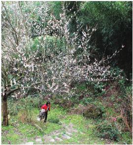 pagenumber_ebook=183,pagenumber_book=183