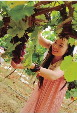 pagenumber_ebook=73,pagenumber_book=73