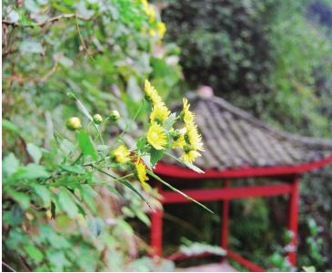 pagenumber_ebook=193,pagenumber_book=193