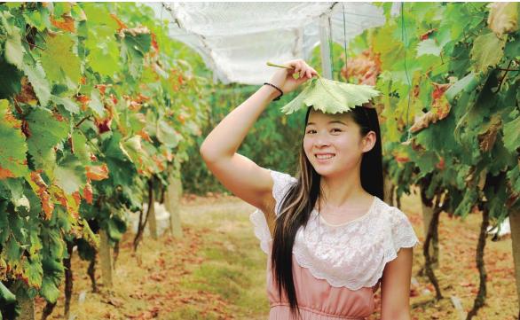 pagenumber_ebook=73,pagenumber_book=73