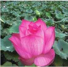 pagenumber_ebook=89,pagenumber_book=89