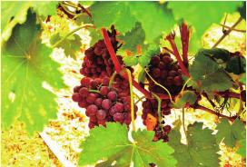 pagenumber_ebook=72,pagenumber_book=72