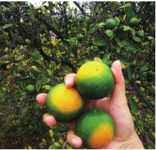 pagenumber_ebook=89,pagenumber_book=89