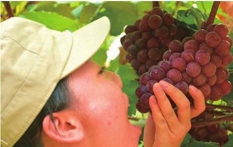 pagenumber_ebook=72,pagenumber_book=72