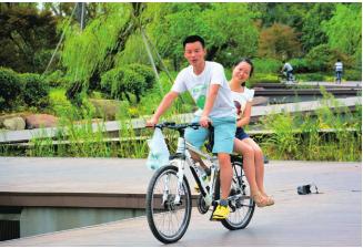 pagenumber_ebook=96,pagenumber_book=96