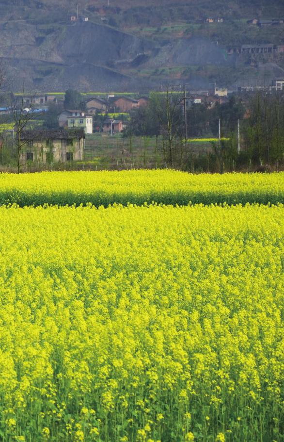 pagenumber_ebook=21,pagenumber_book=21