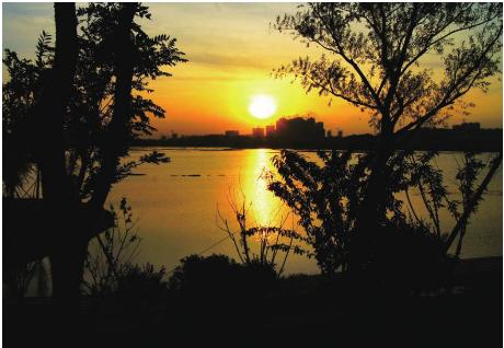 pagenumber_ebook=98,pagenumber_book=98