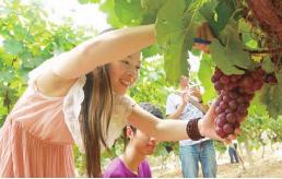 pagenumber_ebook=73,pagenumber_book=73