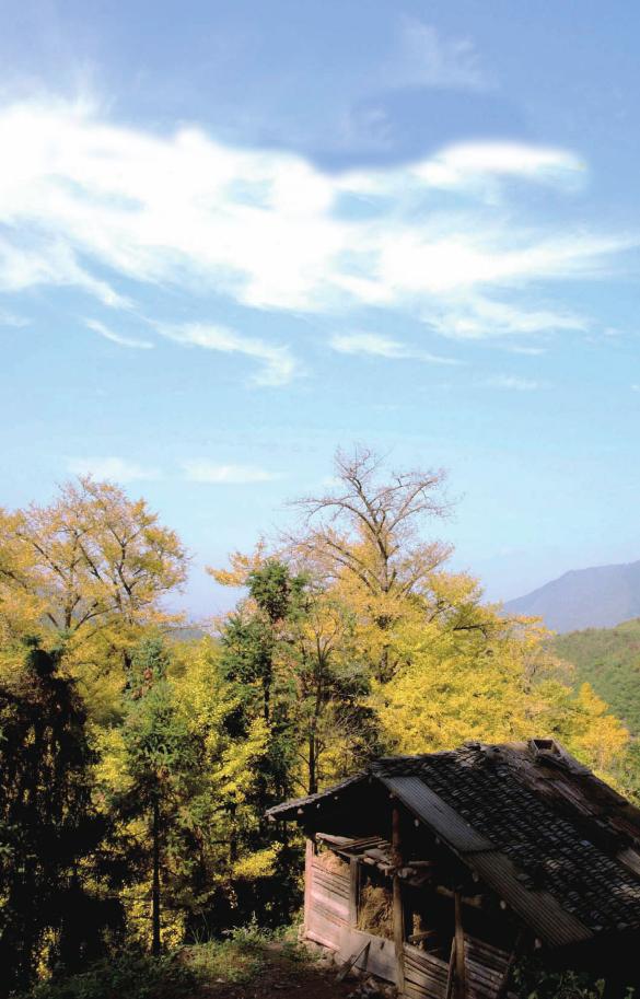 pagenumber_ebook=133,pagenumber_book=133