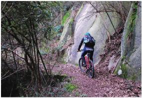 pagenumber_ebook=184,pagenumber_book=184