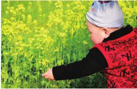 pagenumber_ebook=29,pagenumber_book=29